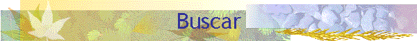 Buscar